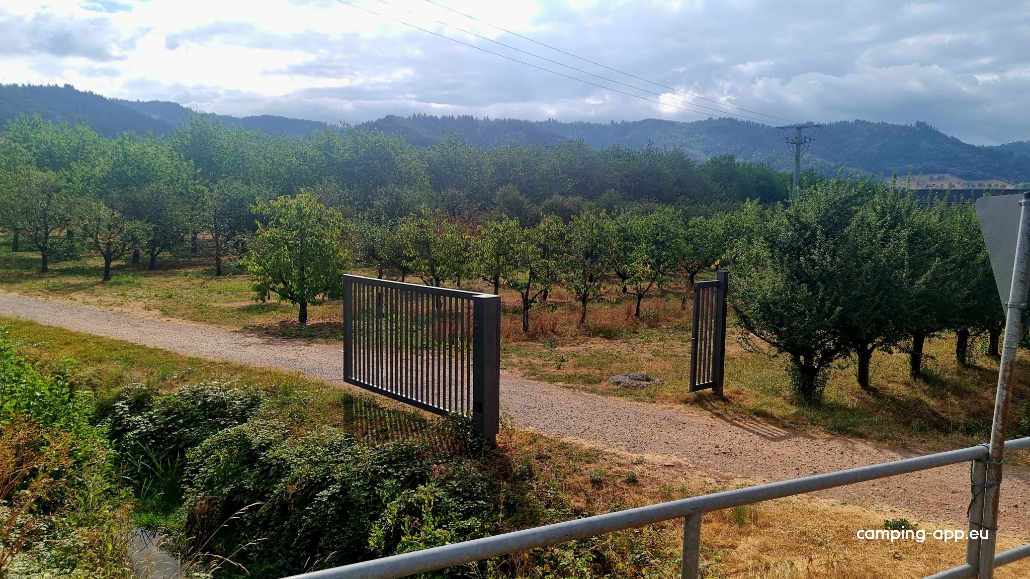 Wild Brennerei — Foto 3