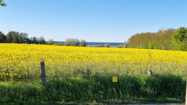 Stellplatz Radeland — Photo 2