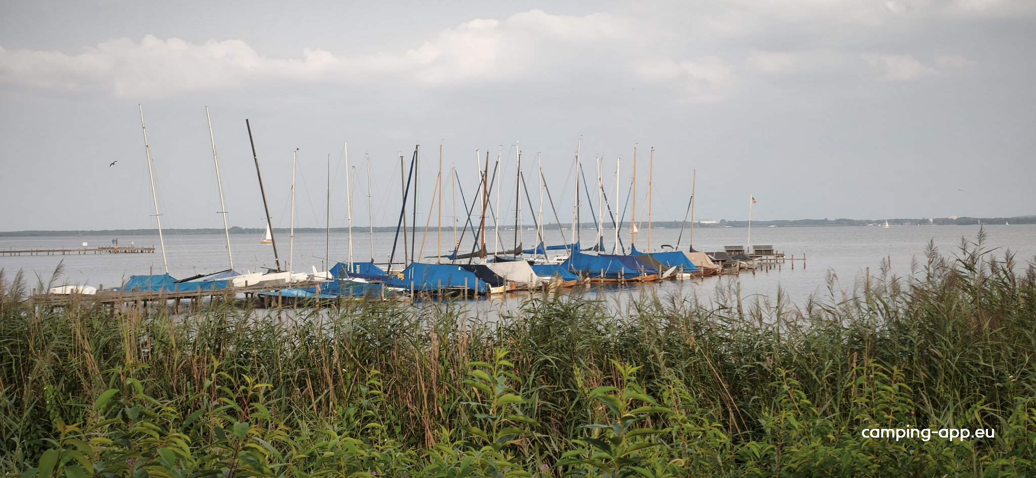 Wohnmobilstellplatz Steinhuder Meer — Foto 2