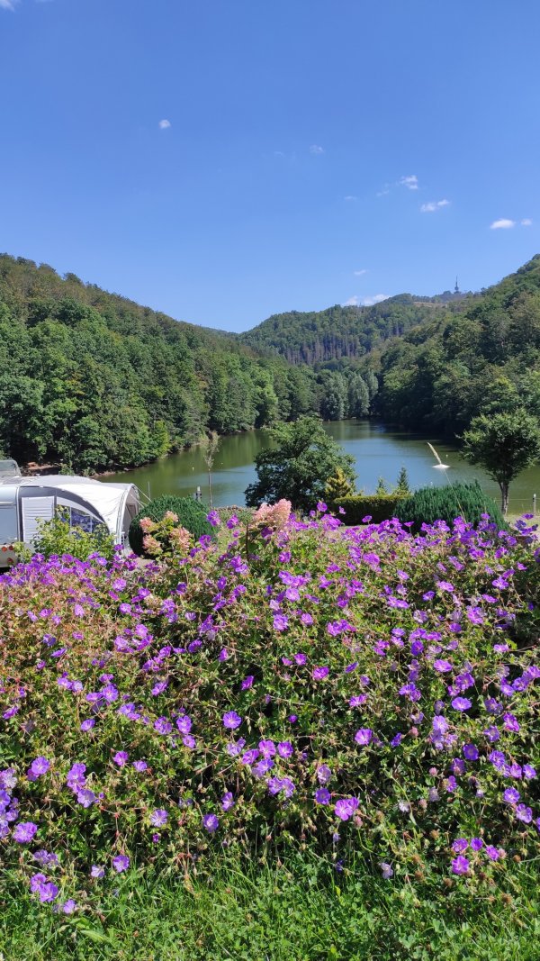 Stellplatz Campingpark Wiesenbeker Teich