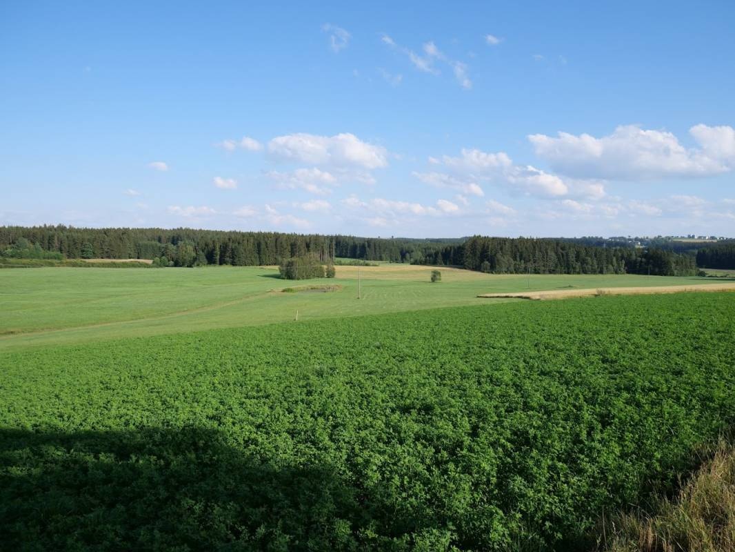 Stellplatz am Campingplatz Schönwald — QuickStop in Schönwald