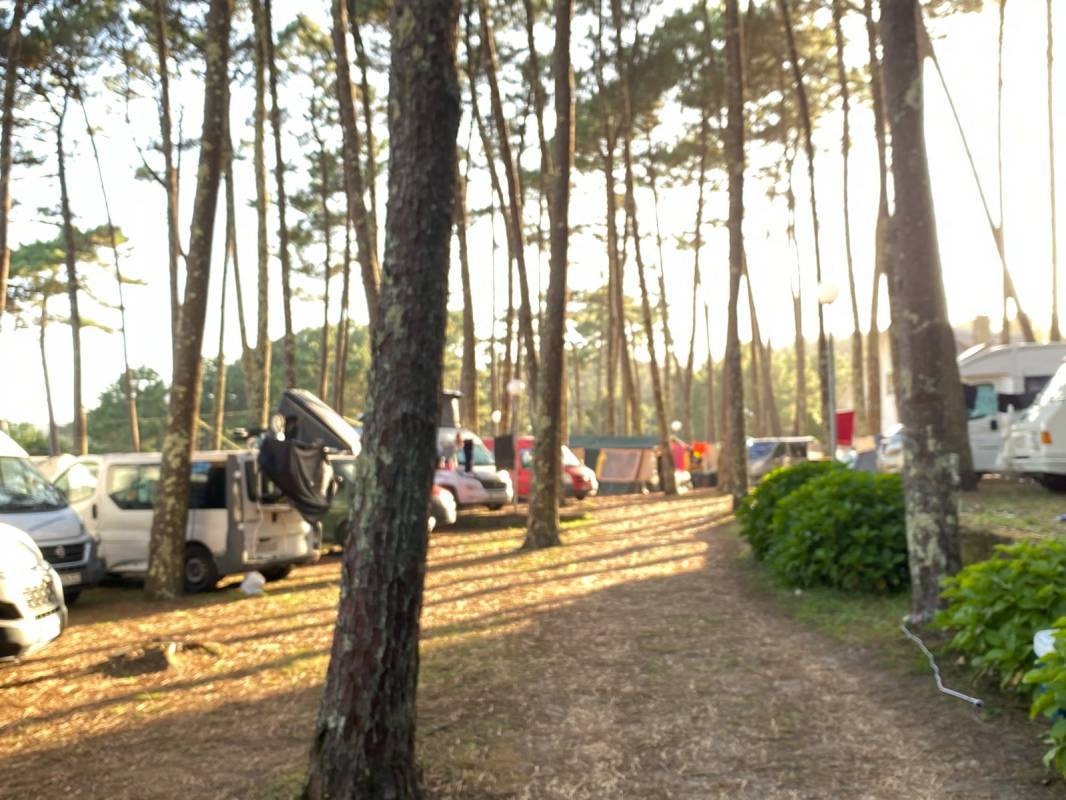 Camping Ruta De Finisterre — Kemp in Cee