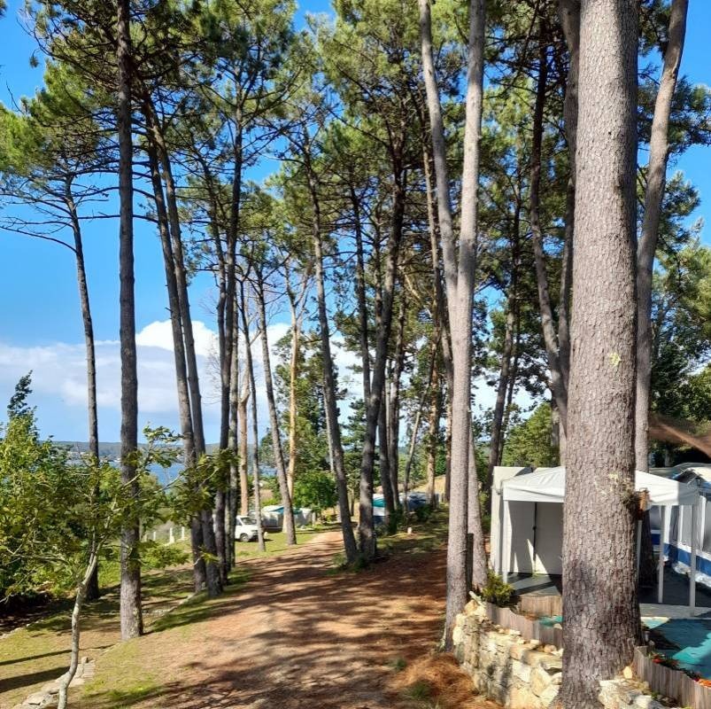 Camping Playa Barreira Leis — Campingplads in Muxía / Galicia