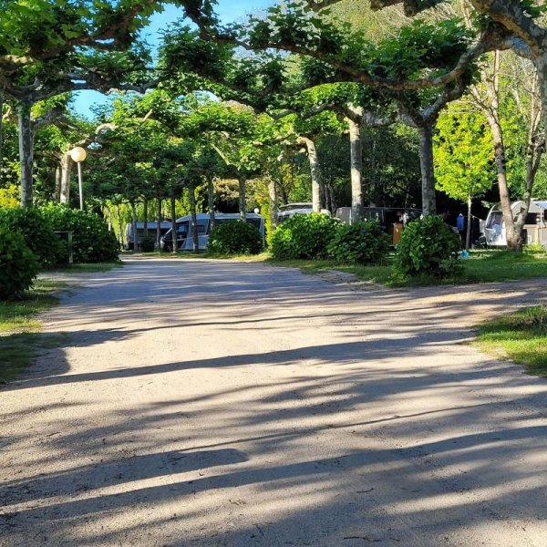 Camping Los Manzanos — Photo 3