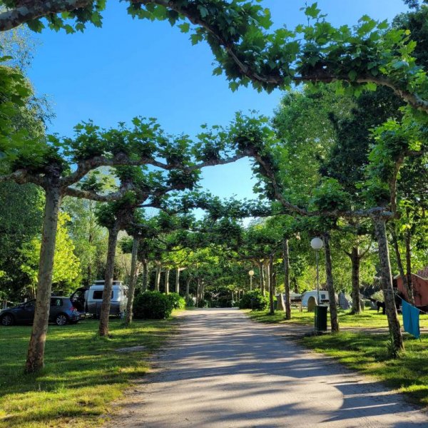 Camping Los Manzanos — Photo 2