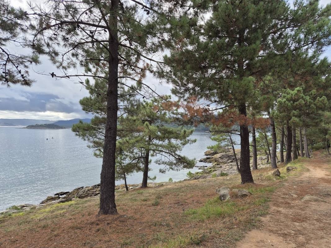 Camping Punta Batuda — Campingplatz in Miñortos / Galicia