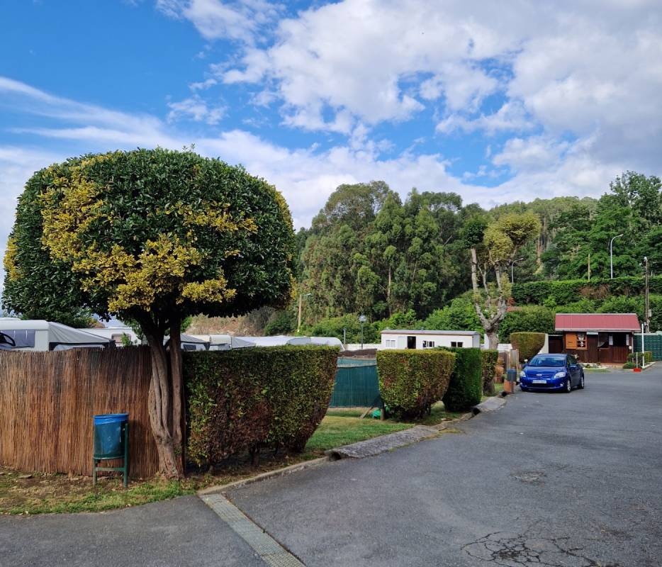 Camping San Pedro — Місце для кемпінгу in Sada / Galicia