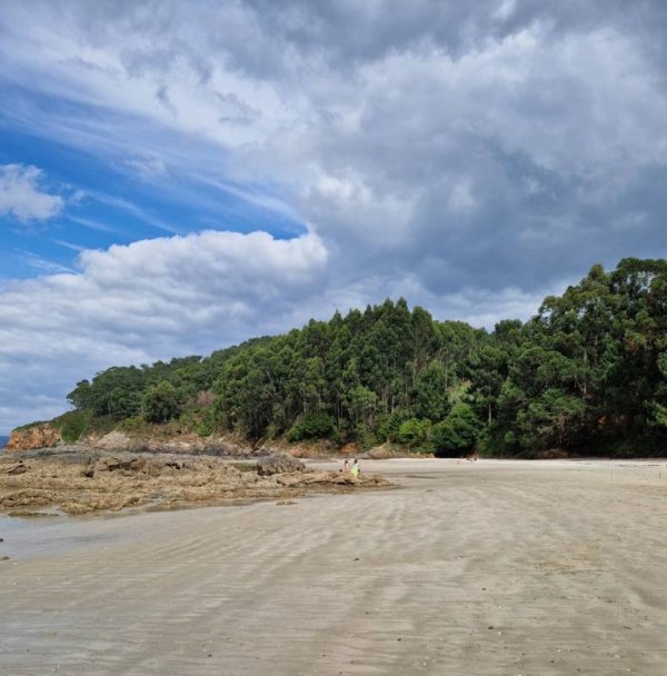 Camping San Pedro — Photo 2