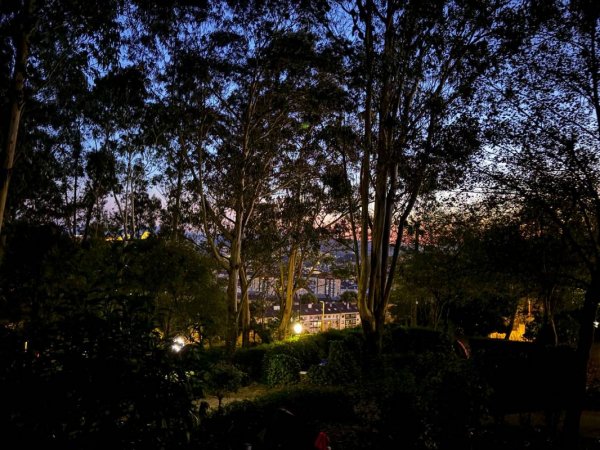 Camping As Cancelas — Photo 3