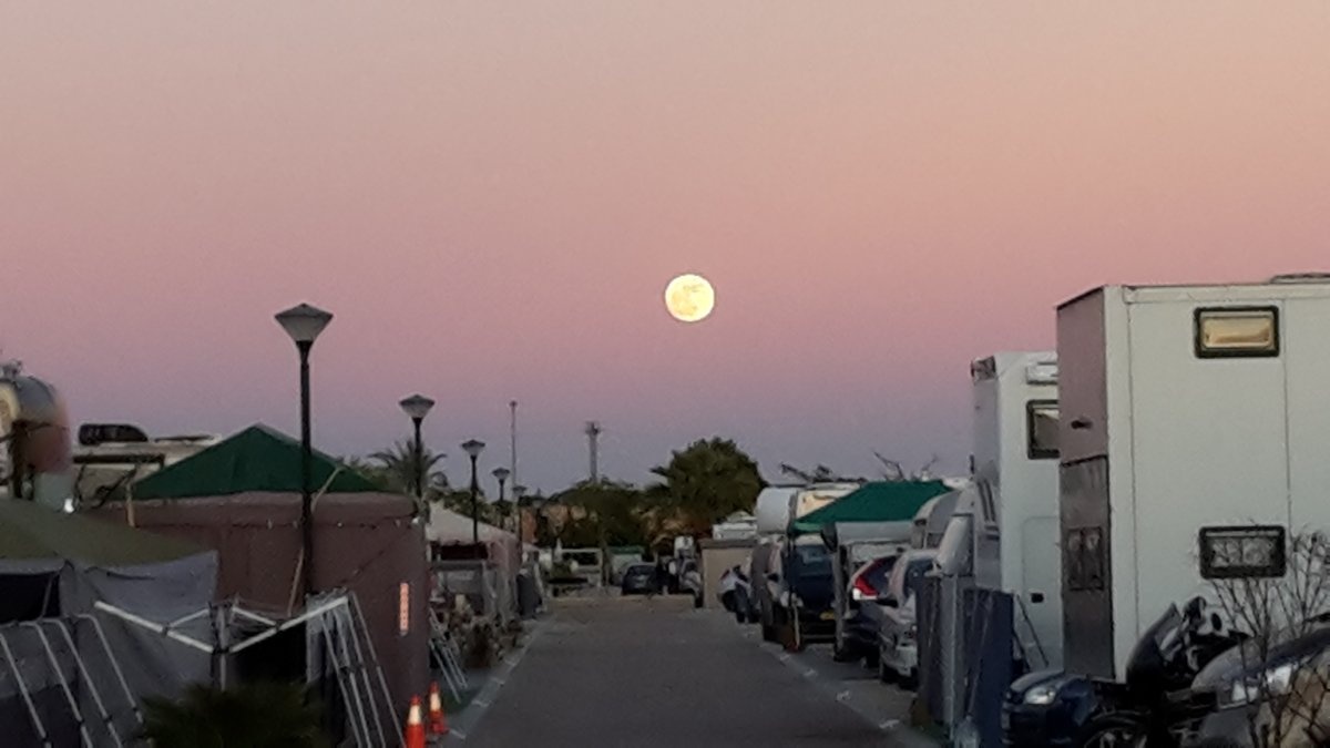 Alannia Costa Blanca Camping & Resort — Camping Site in Crevillent / Comunidad Valenciana