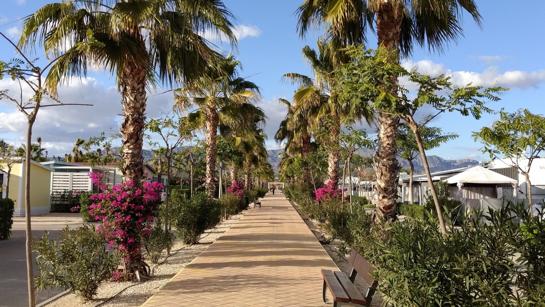 Alannia Costa Blanca Camping & Resort — Cámping in Crevillent / Comunidad Valenciana