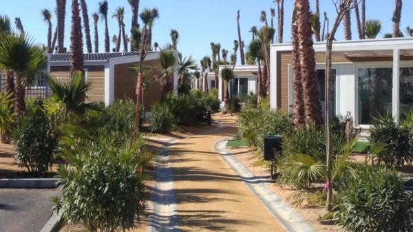 Alannia Costa Blanca Camping & Resort — Foto 4