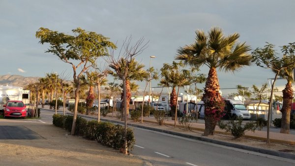 Alannia Costa Blanca Camping & Resort — Foto 3