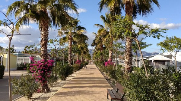 Alannia Costa Blanca Camping & Resort