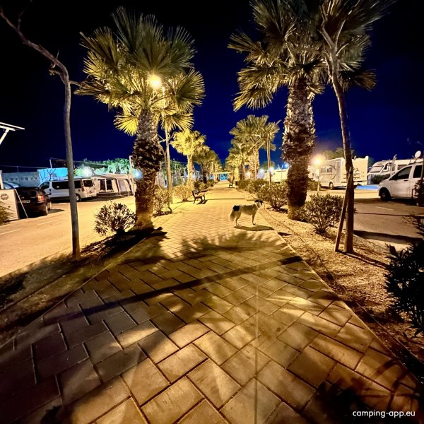 Alannia Costa Blanca Camping & Resort — Foto 2