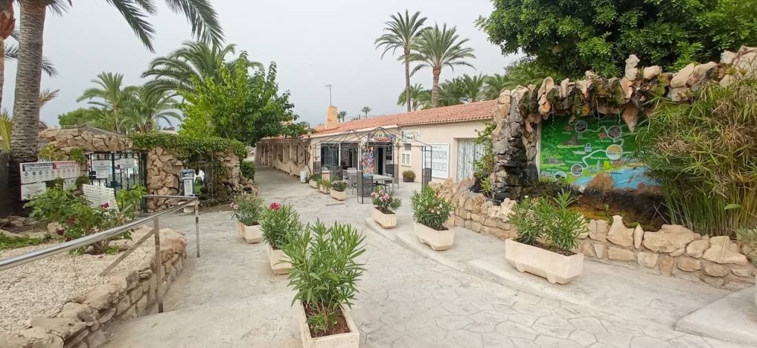Camping Benisol — Sítio de acampamento in Benidorm / Comunidad Valenciana