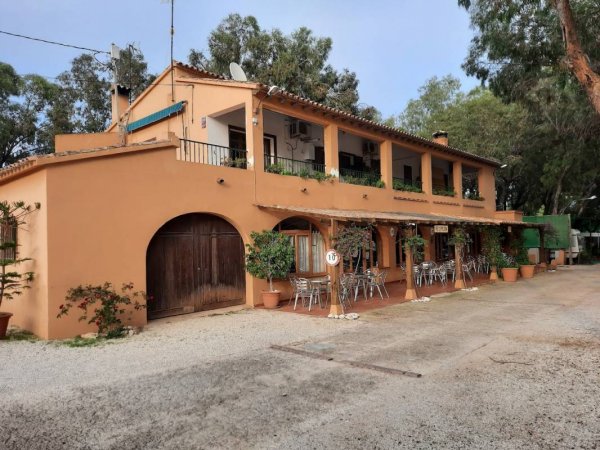 CAMPING LA MERCED — Photo 2