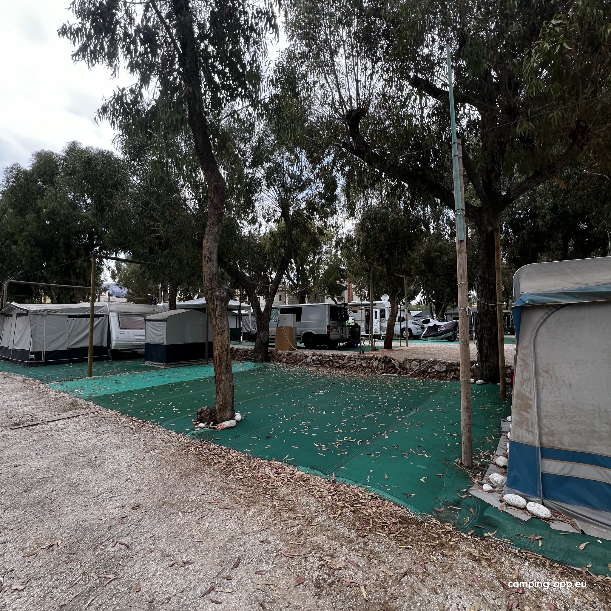 CAMPING LA MERCED — Photo 6