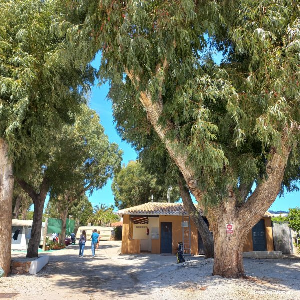 CAMPING LA MERCED — Photo 4