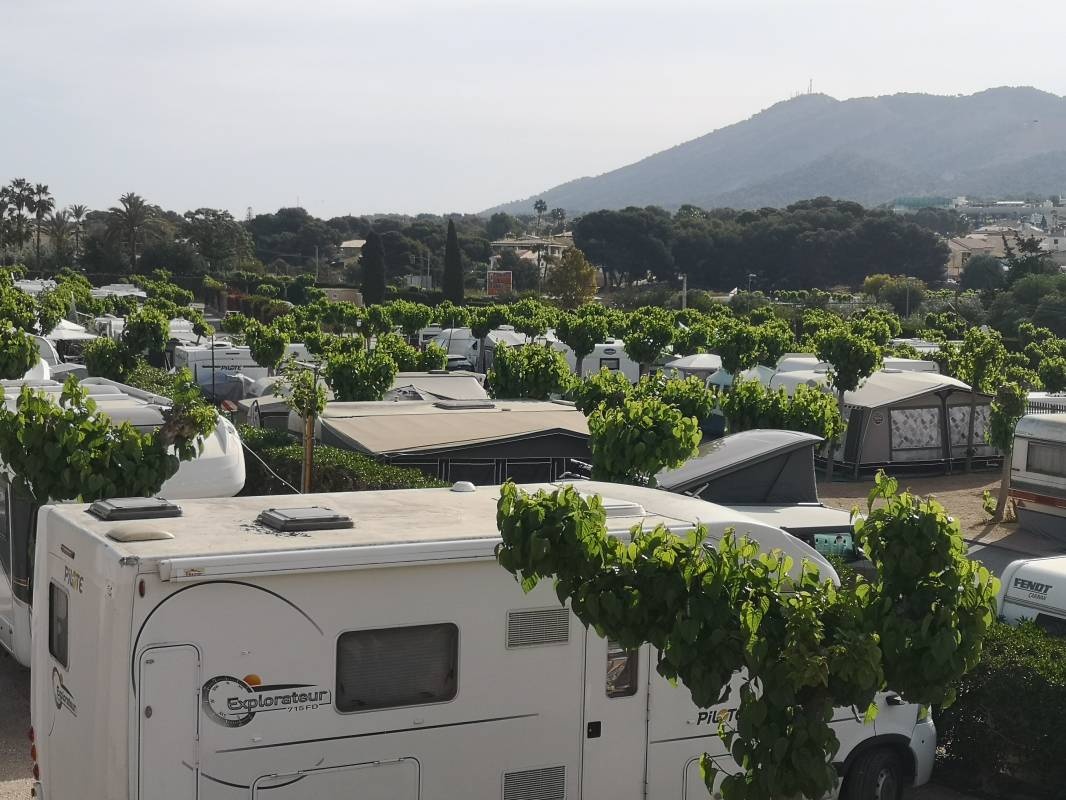 Villasol Camping — 露营地 in Benidorm / Comunidad Valenciana