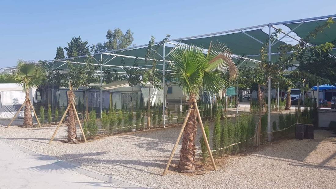 Camping los Llanos — Kemp in Dénia / Comunidad Valenciana