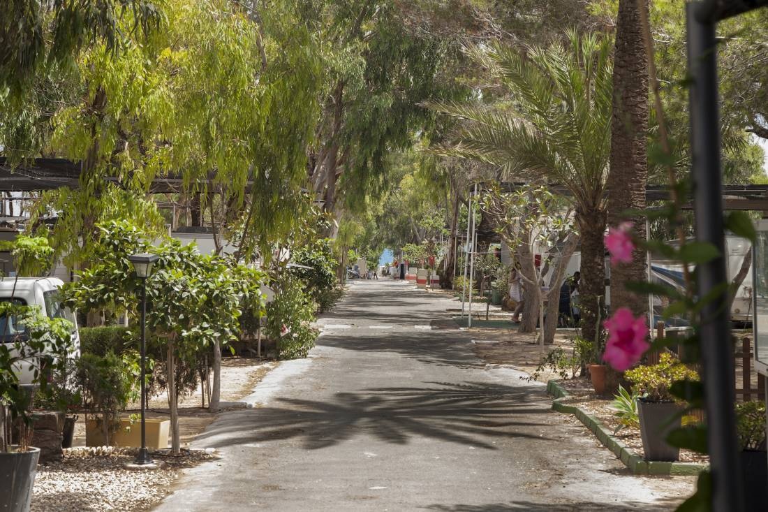 Camping Palm-mar — Campingplatz in Guardamar del Segura / Comunidad Valenciana