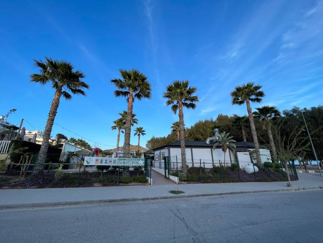 Camping el Torres — Campingplatz in La Vila Joiosa / Comunidad Valenciana