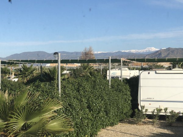 Camping Mar Azul Balerma — Photo 3