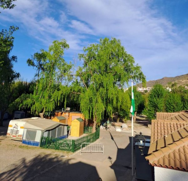 Camping Valle del Andarax — Photo 6