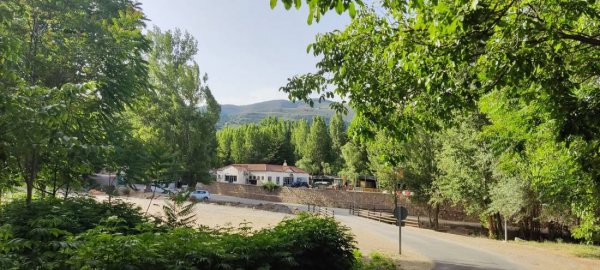 Camping Valle del Andarax — Photo 3