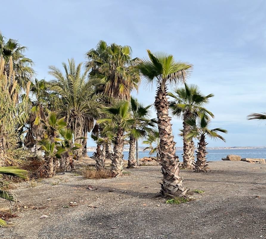 Camping Las Vegas — Campingplats in Adra