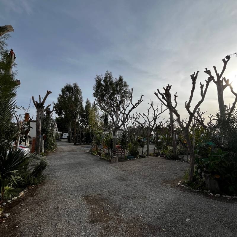 Camping Las Vegas — Cámping in Adra