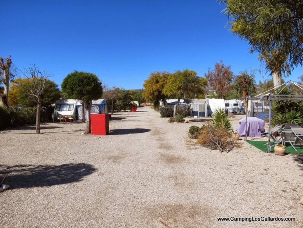 Camping Los Gallardos — Camping in Los Gallardos / Andalucía