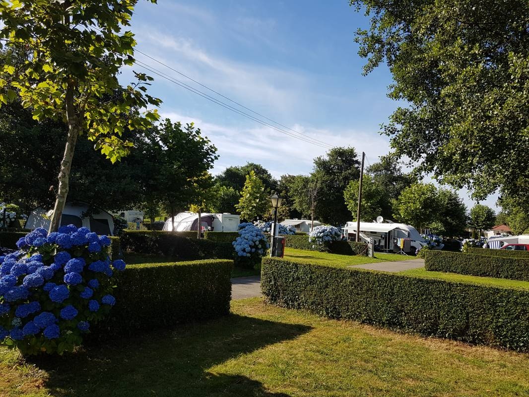 wecamp Cudillero — Campingplads in El Pito, Cudillero / Principado de Asturias