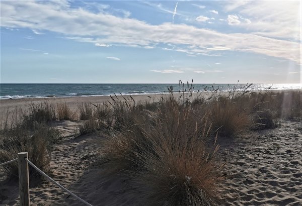 Camping 3 Estrellas — Photo 4