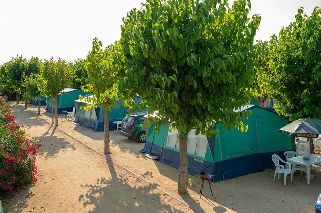 Camping Resort Els Pins — Campingplass in Malgrat de Mar / Catalunya