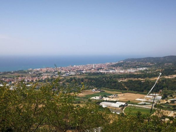 Camping El Camell — Foto 3