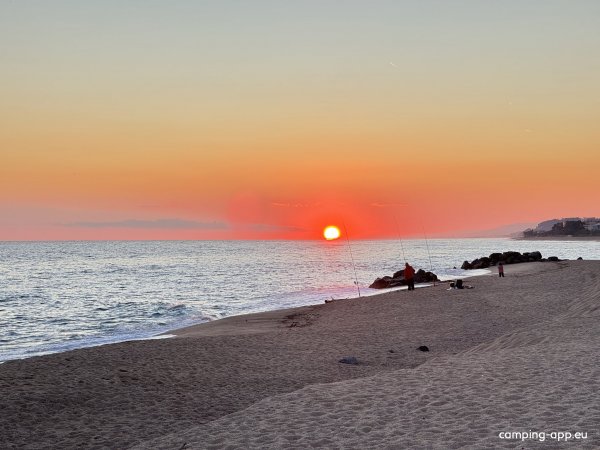 Camping El Pinar Platja — Photo 4