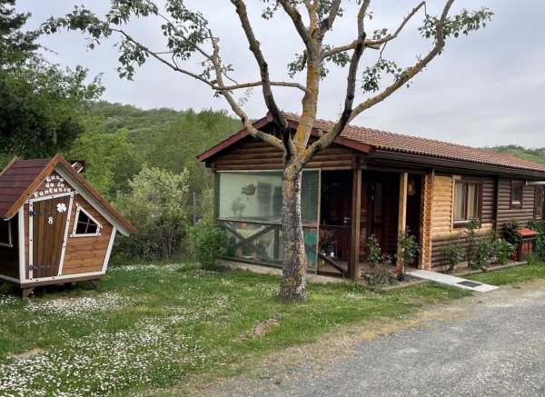 Camping Puerta de la Demanda — Photo 2