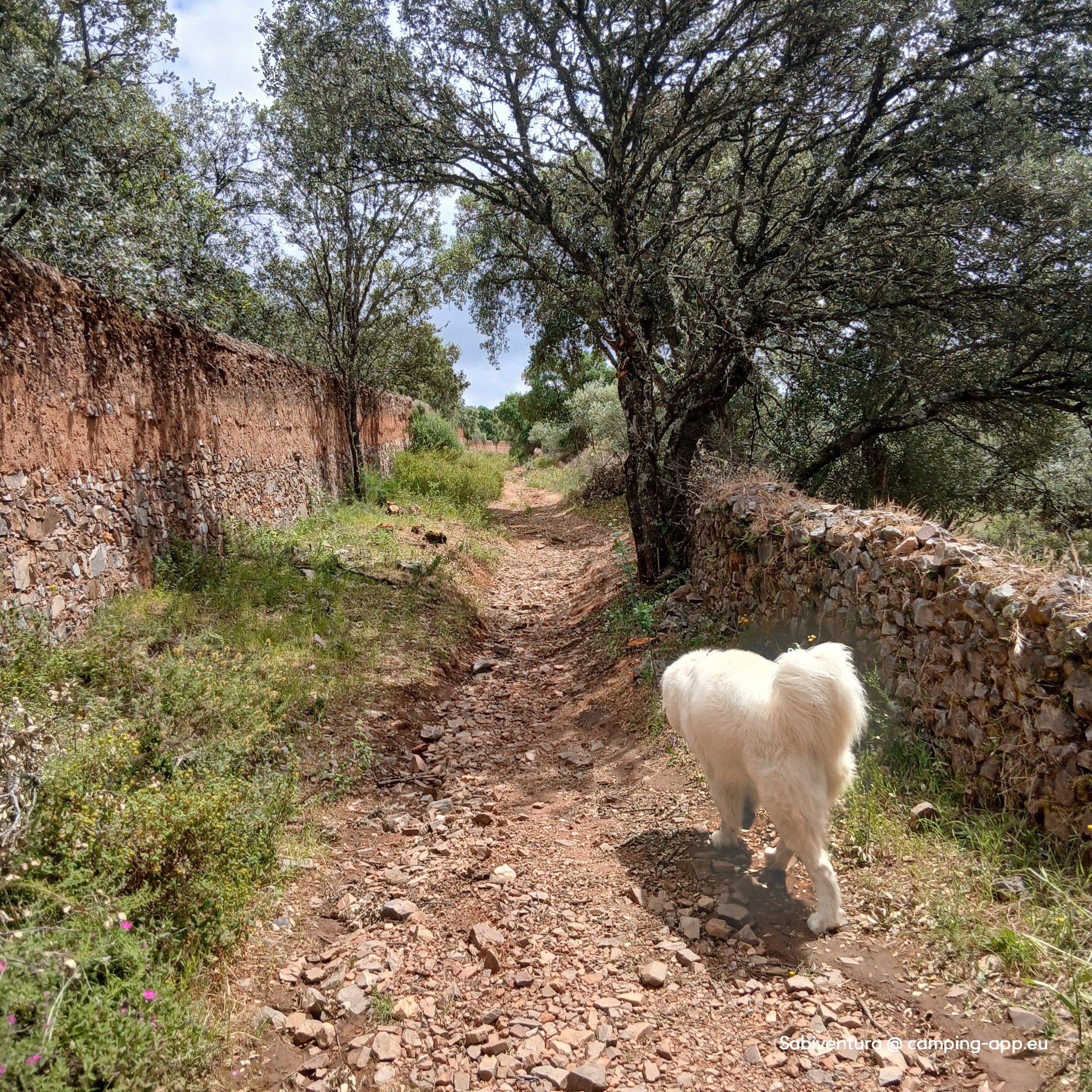 Camping Cáceres — Foto 2