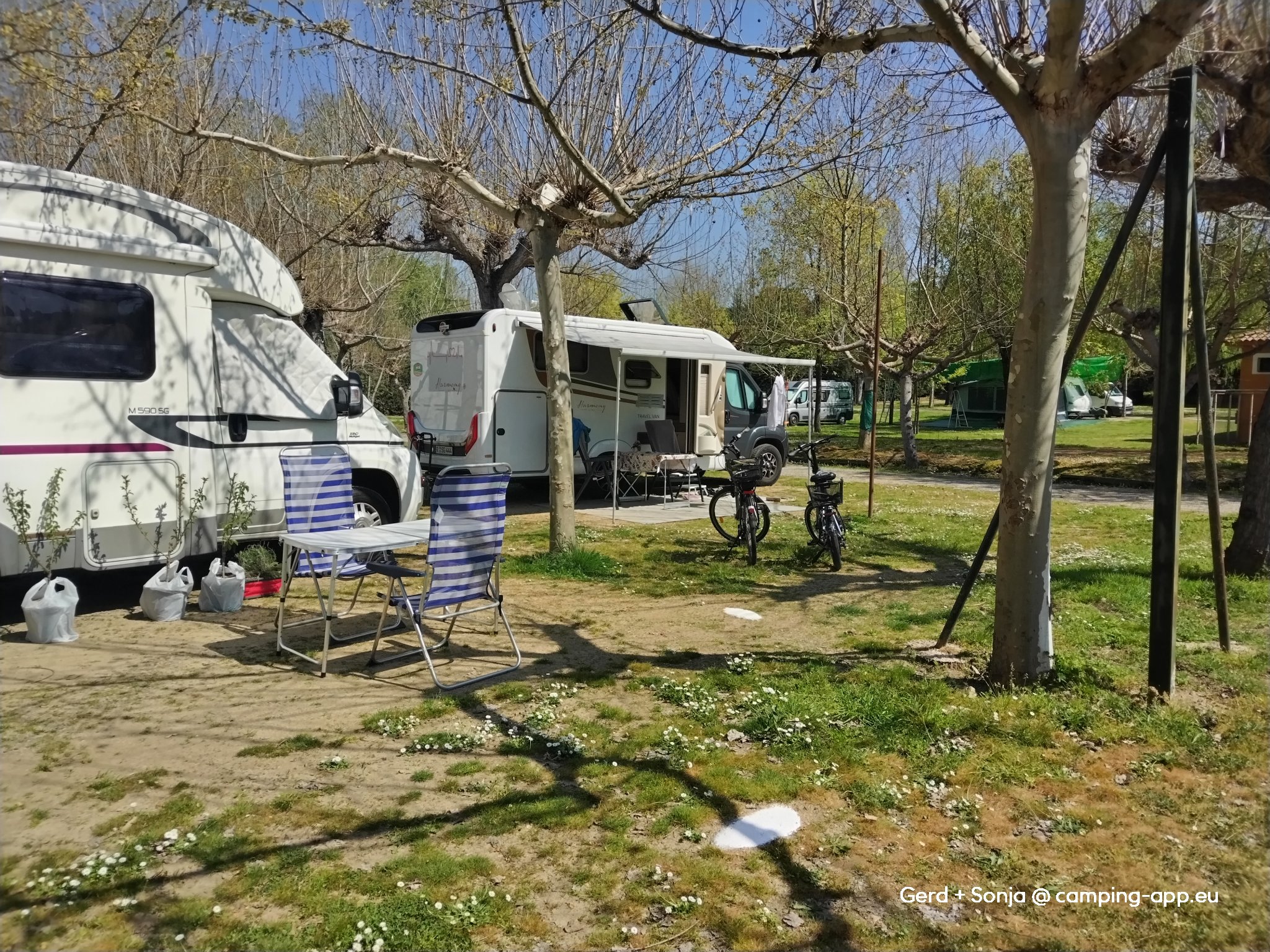 Camping la Chopera — Photo 4