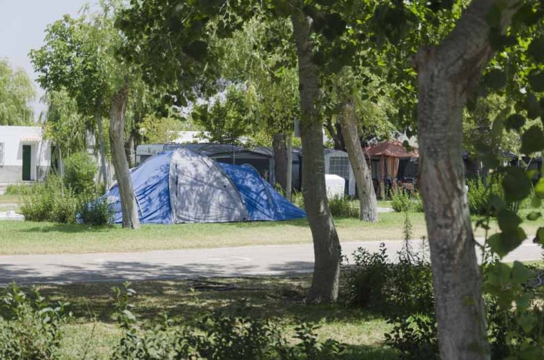 Camping La Rana Verde — Sítio de acampamento in Chiclana de la Frontera / Andalucía