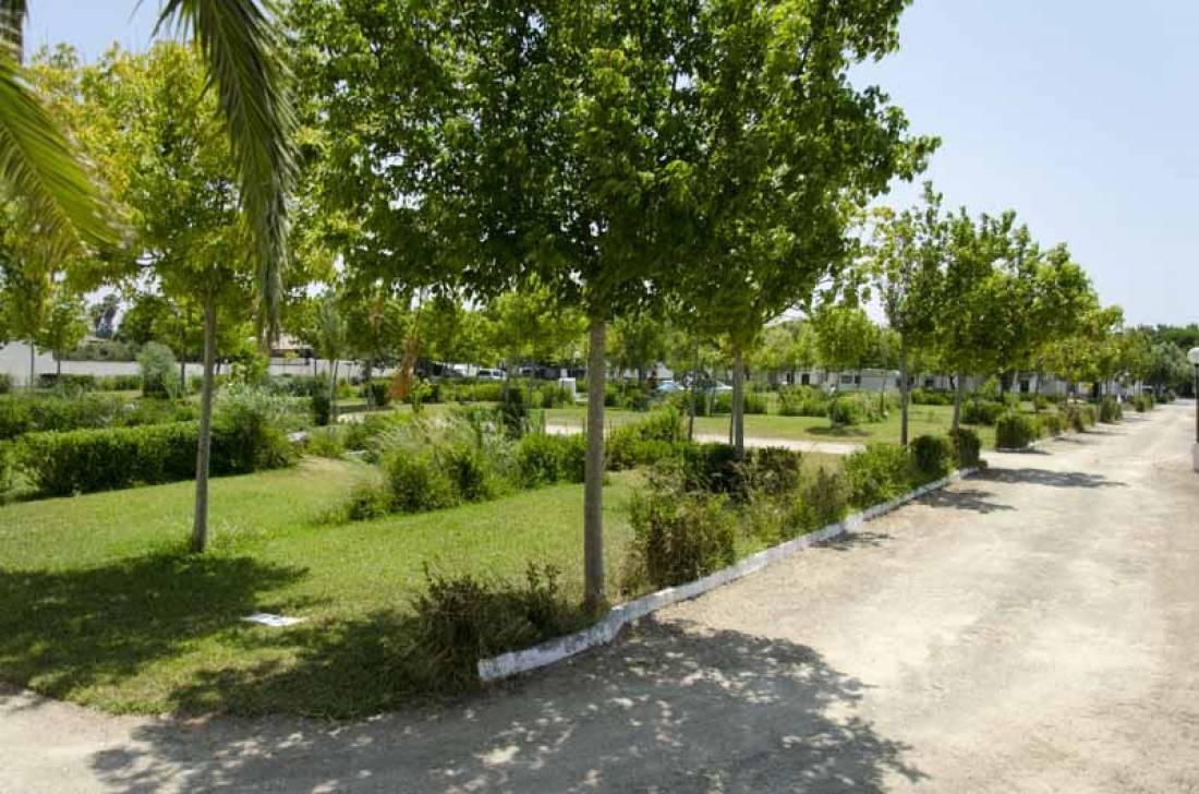 Camping La Rana Verde — Campingplatz in Chiclana de la Frontera / Andalucía