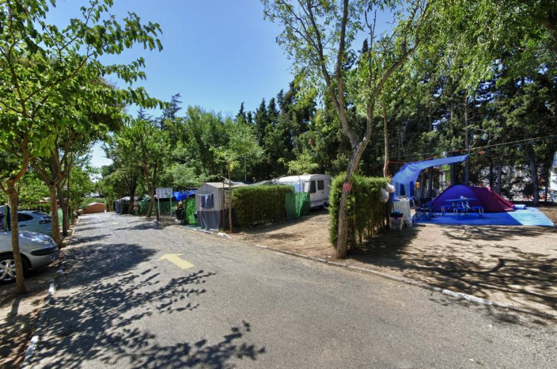 Camping Fuente Del Gallo, S.L. — Campingplats in Conil de la Frontera / Cádiz