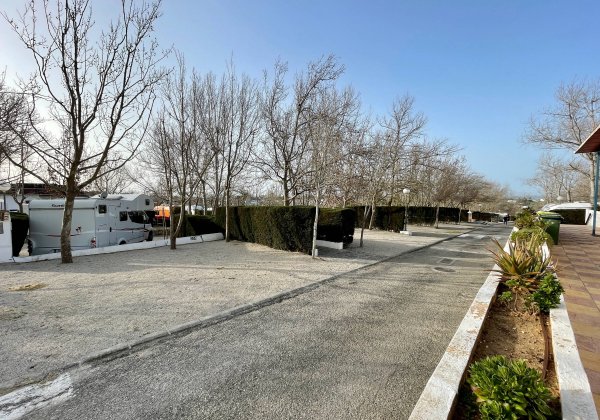 Camping La Rosaleda — Photo 2