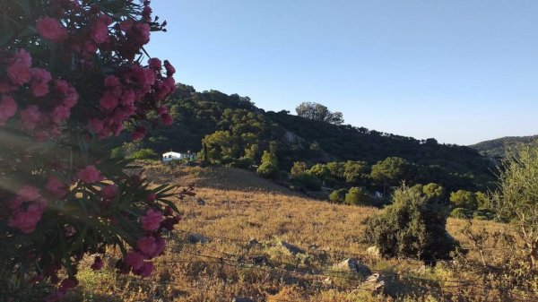 Camping Alcornocales — Photo 2