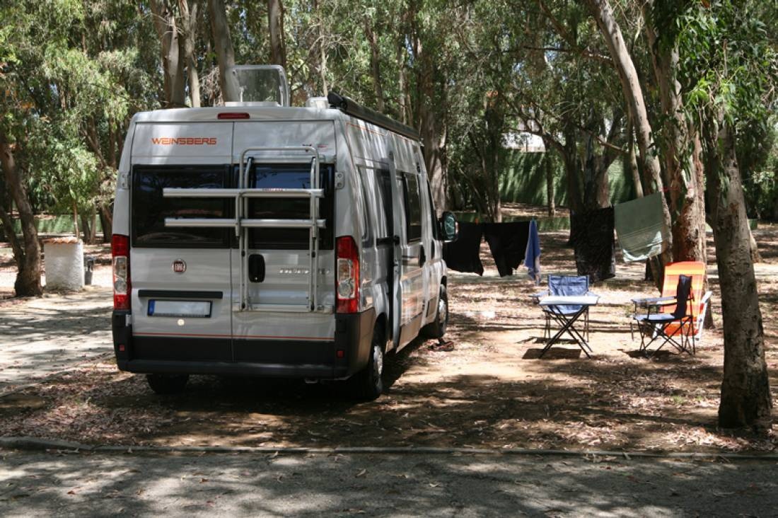 Camping los Eucaliptos — Camping in Conil de la Frontera