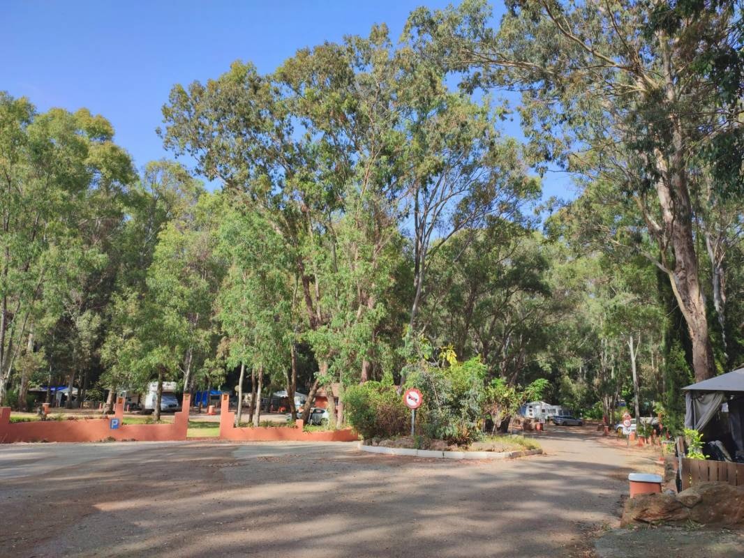 Camping La Casita Cadiz — Campingplads in San Roque / Andalucía