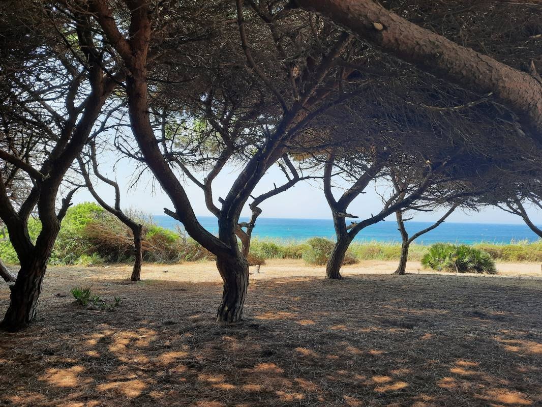 Camping Tarifa — Campingplass in Tarifa / Andalucía