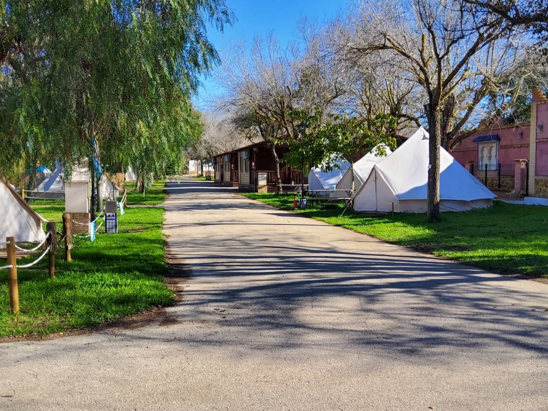 Camping El Palmar — Camping in El Palmar, Vejer de la Fra. / Andalucía